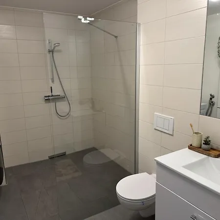 Staytime - Rose * 드레스덴