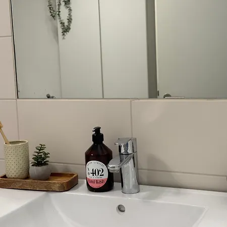 Staytime - Rose Дрезден